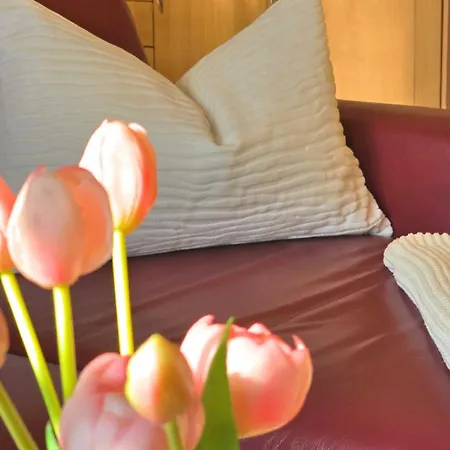 Apartment Fewos Ostseesonne Ostseesonne Links